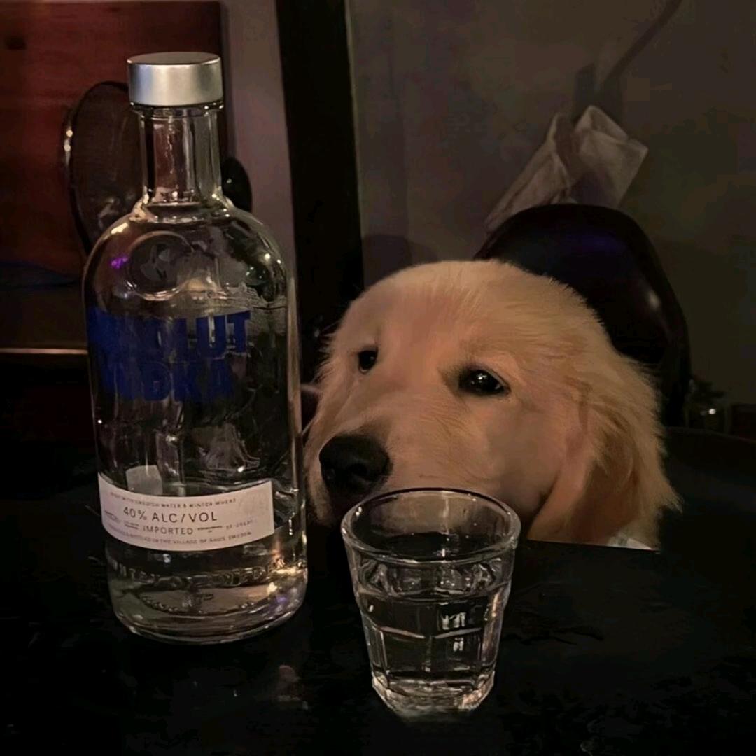 慈城
