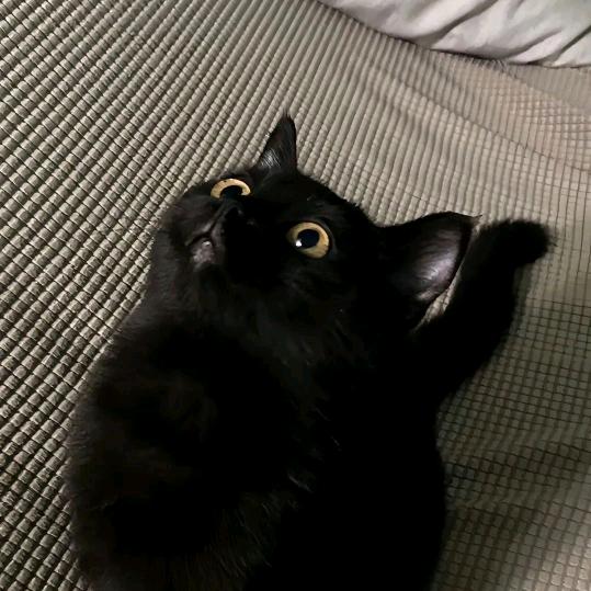 佑姜