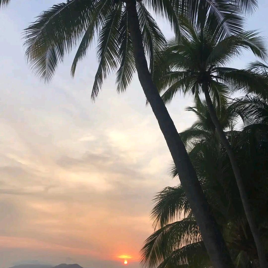 青春留步