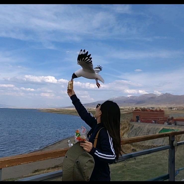 风生水起💰💰