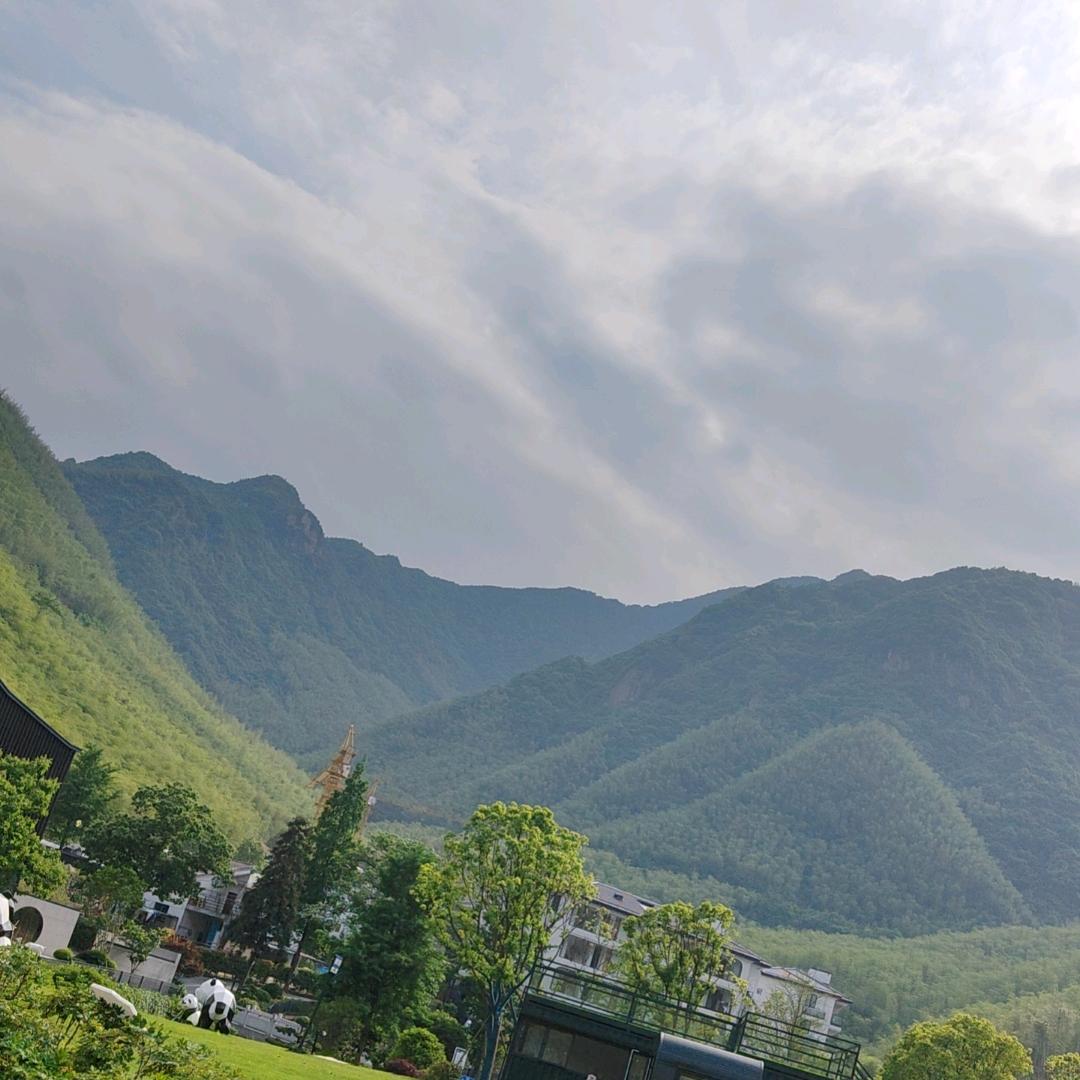 鸣哥
