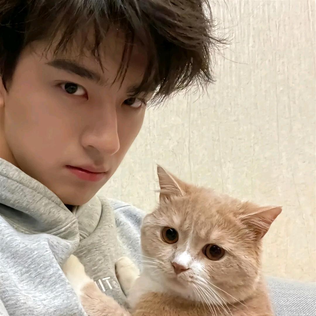 平面直角坐标系