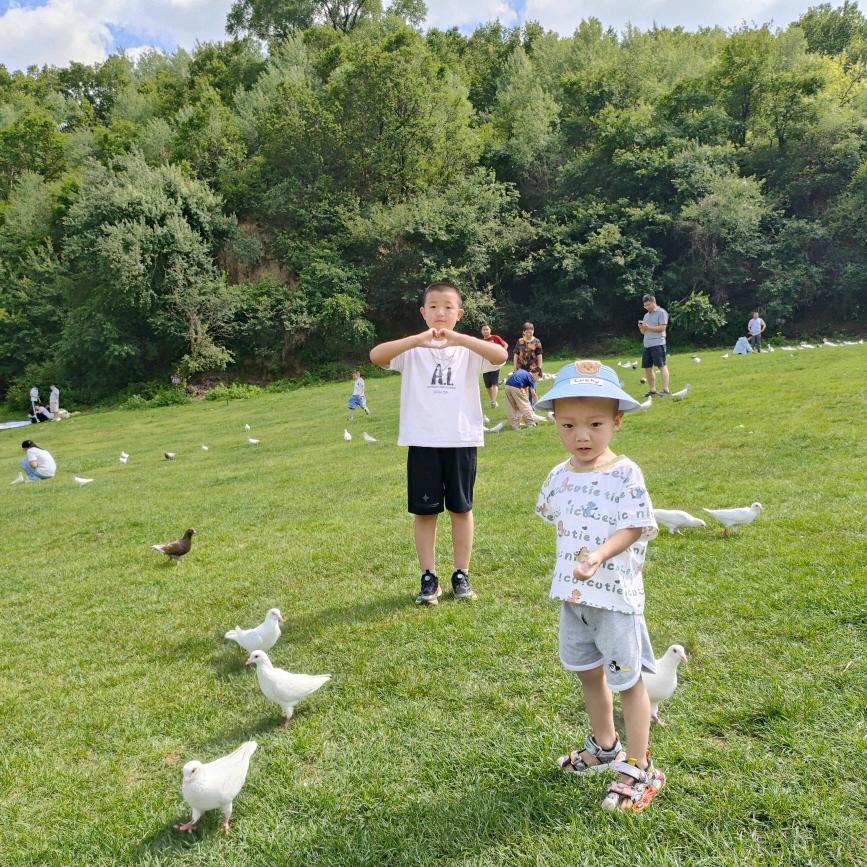 🌹爱我所爱❤️