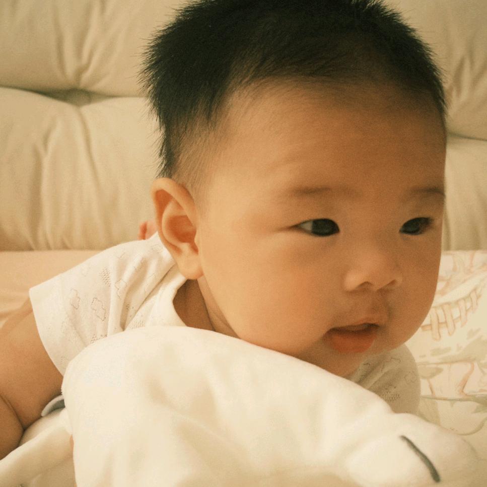 lemon的朋友圈🍋