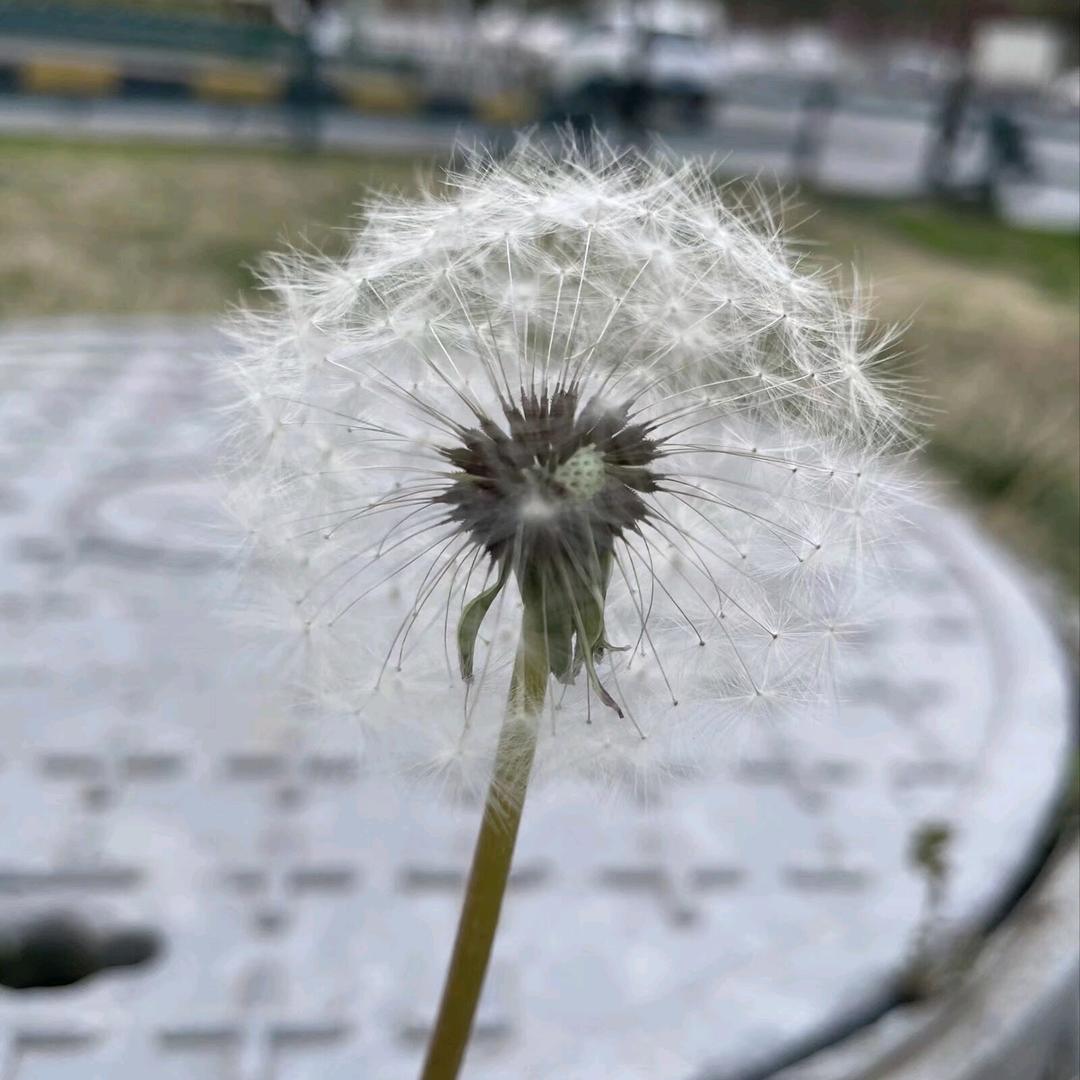 行道迟迟，载渴载饥