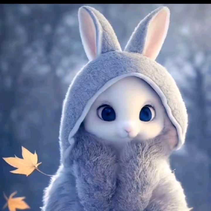 🦋涅槃重生🦋