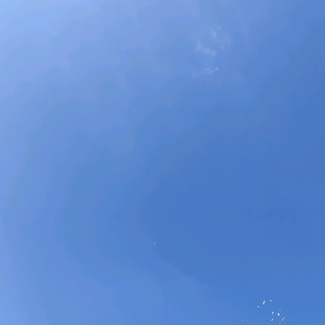 一杯咖啡苦不苦