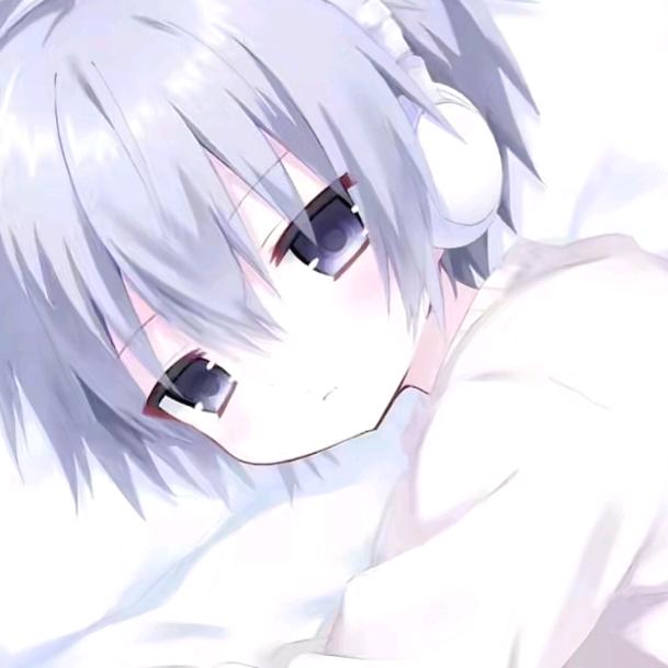 辉崽