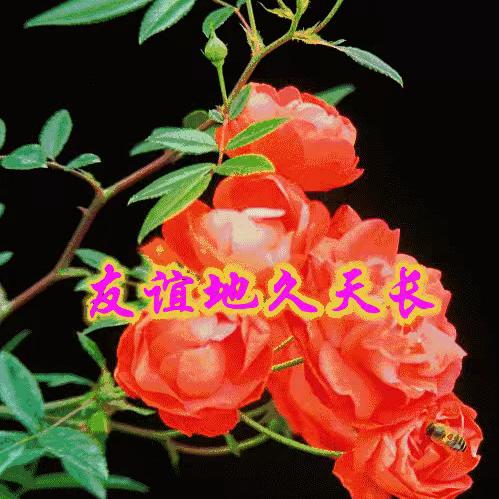 快快乐乐每一天