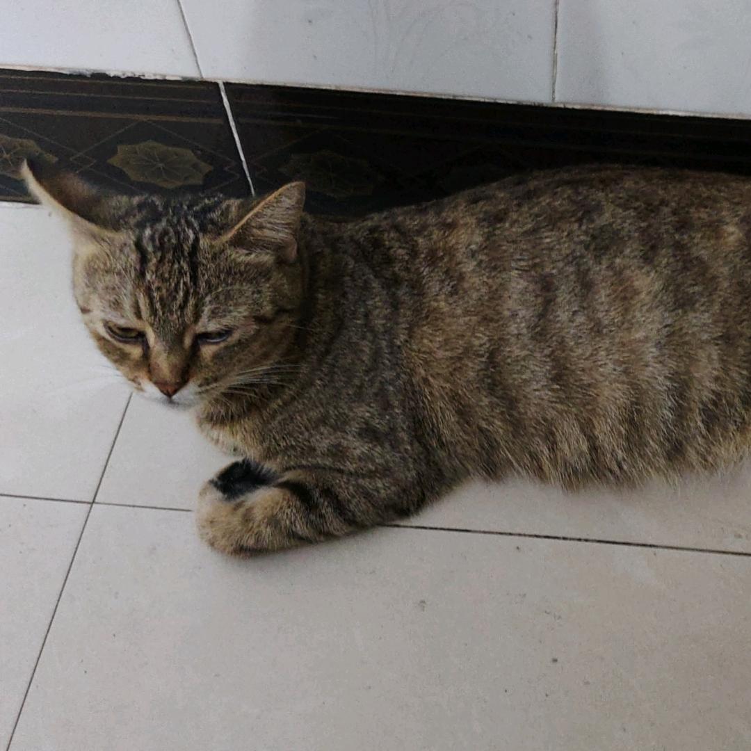终点