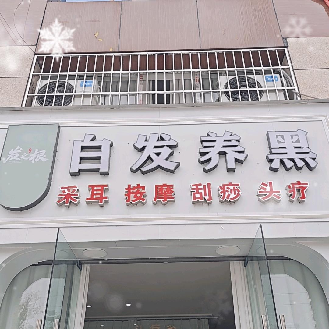 白发养黑馆