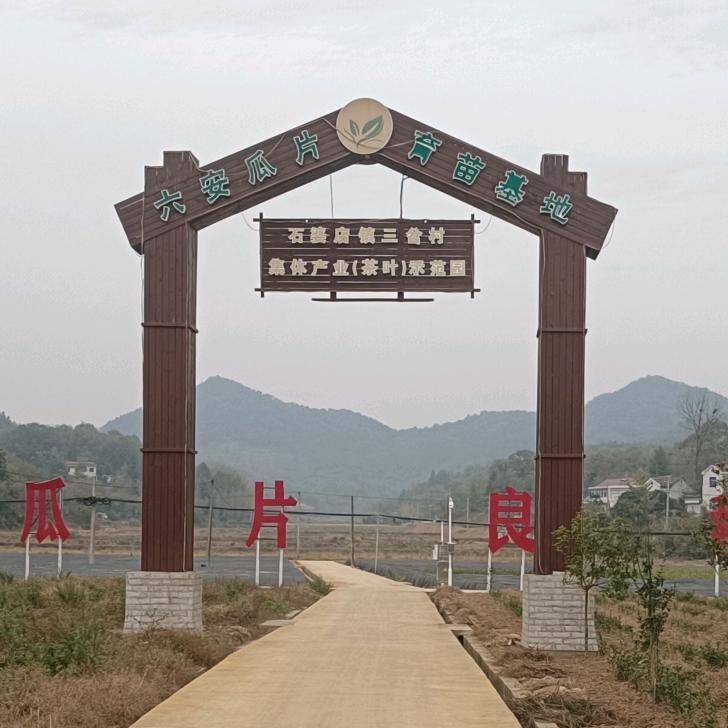 三岔村～俞伦森