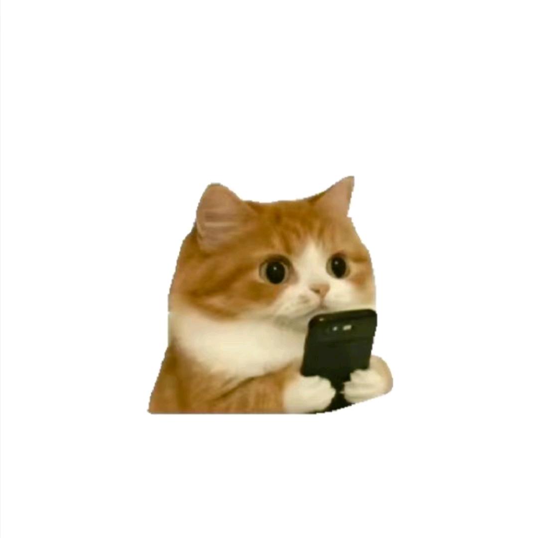 摆烂小徐