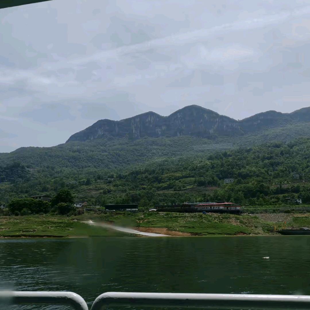 南柯一梦.