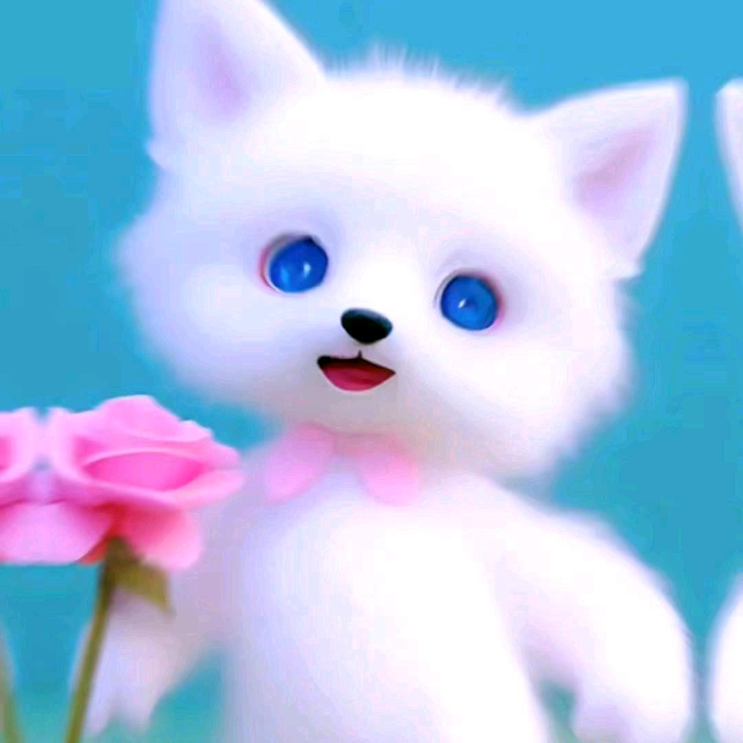 🌹香🌲水🌺佰🌴荷🌺