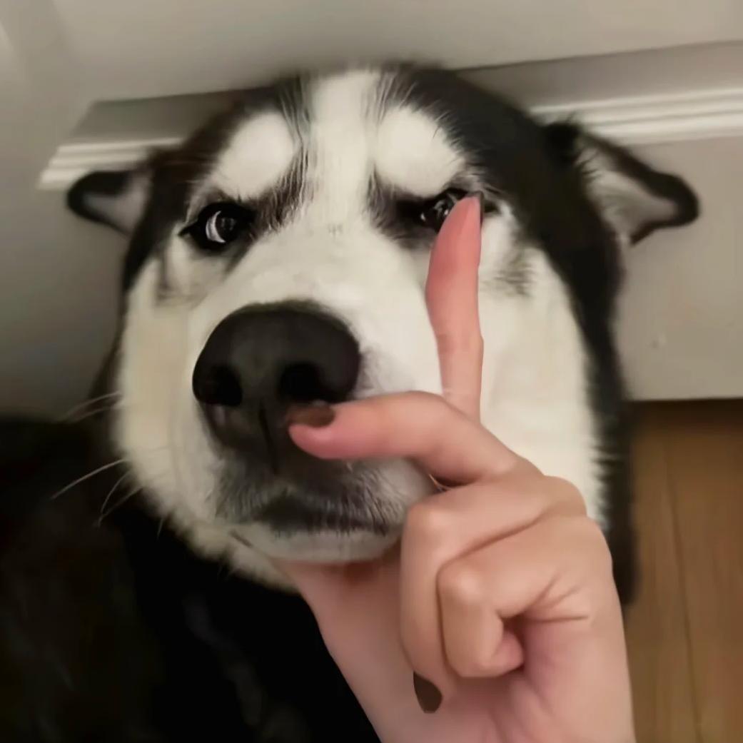 榴莲螺蛳粉
