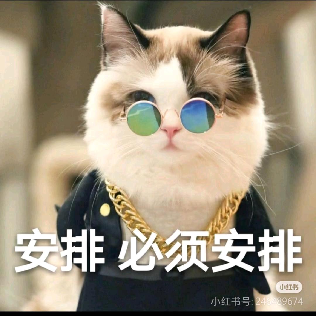 🚗钟止意难平