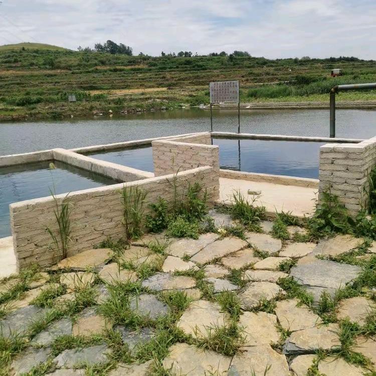 不  詹  锅