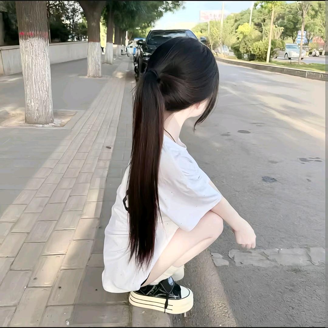 呆呆猫