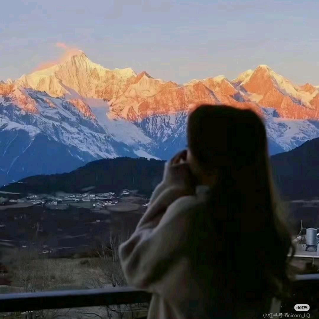 栀茉