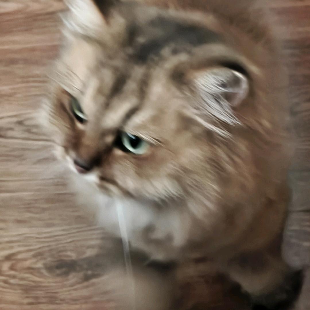 感觉是日落