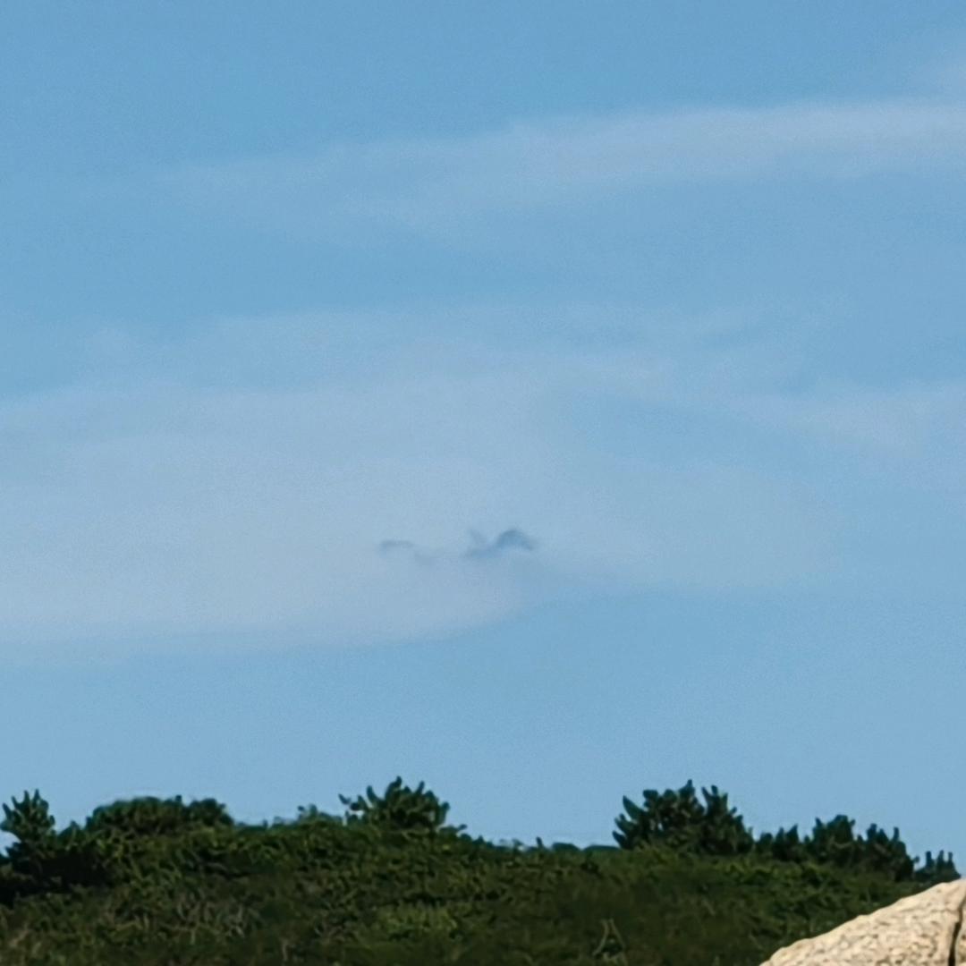 大龙