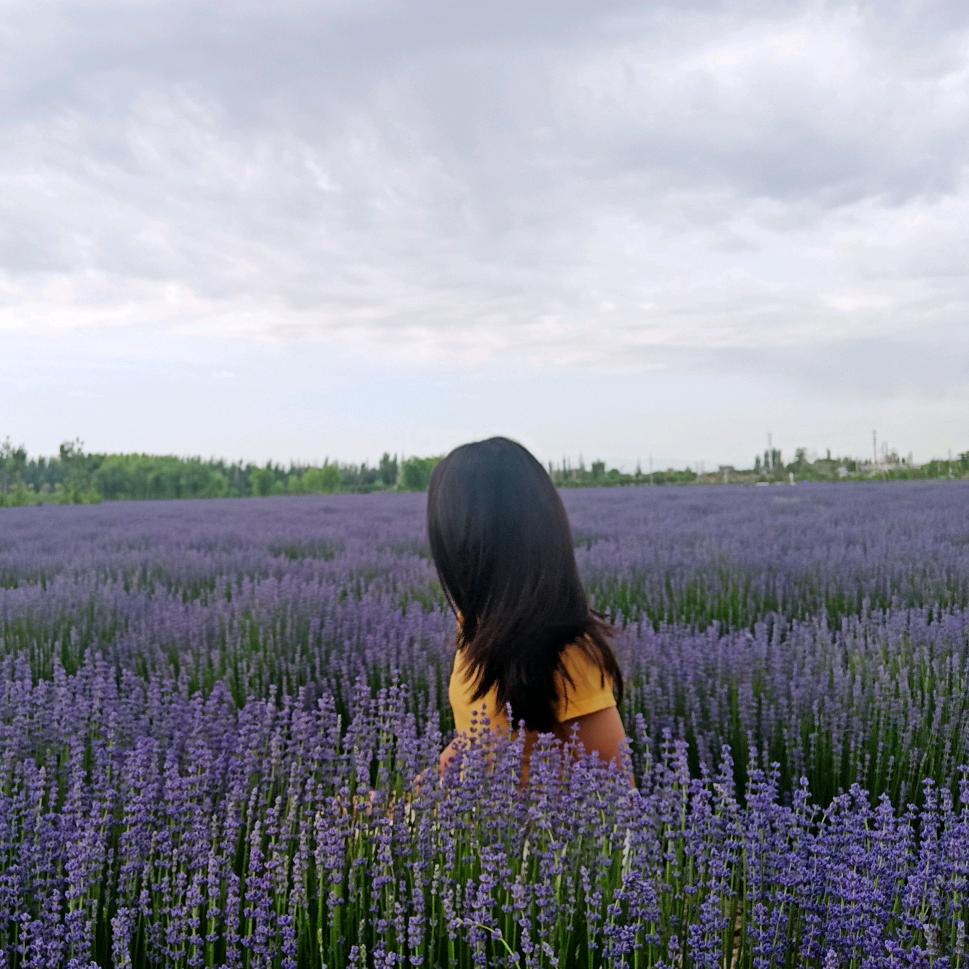 凉山驾考培训ABC照