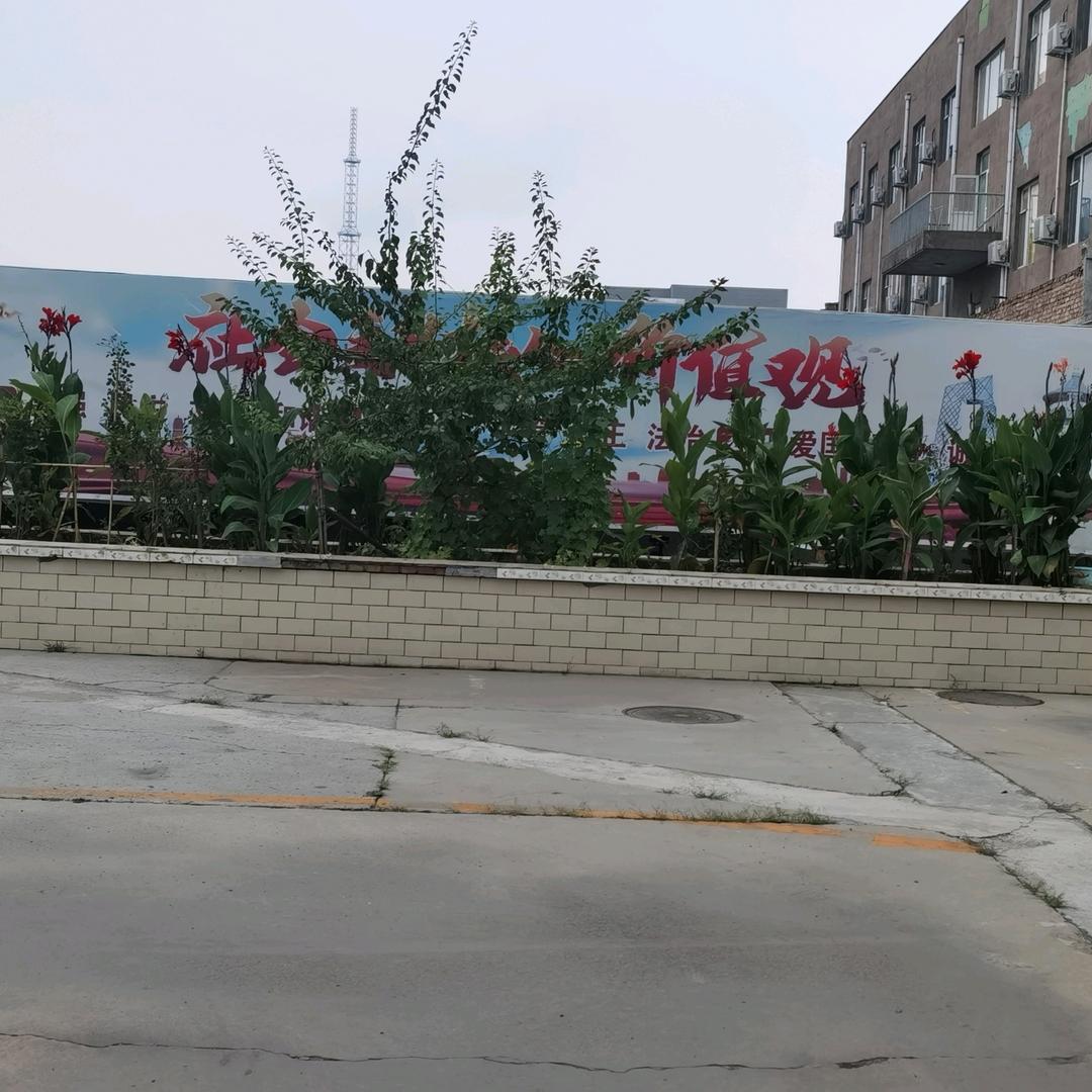 男儿膝下有黄金