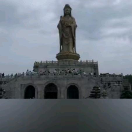 ＜正＞蛇行天下🐍