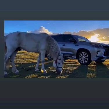 索郎曲达🕸️🦅