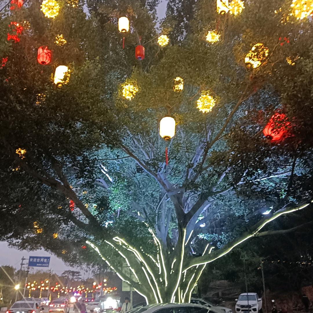 🔥一生只有你🔥