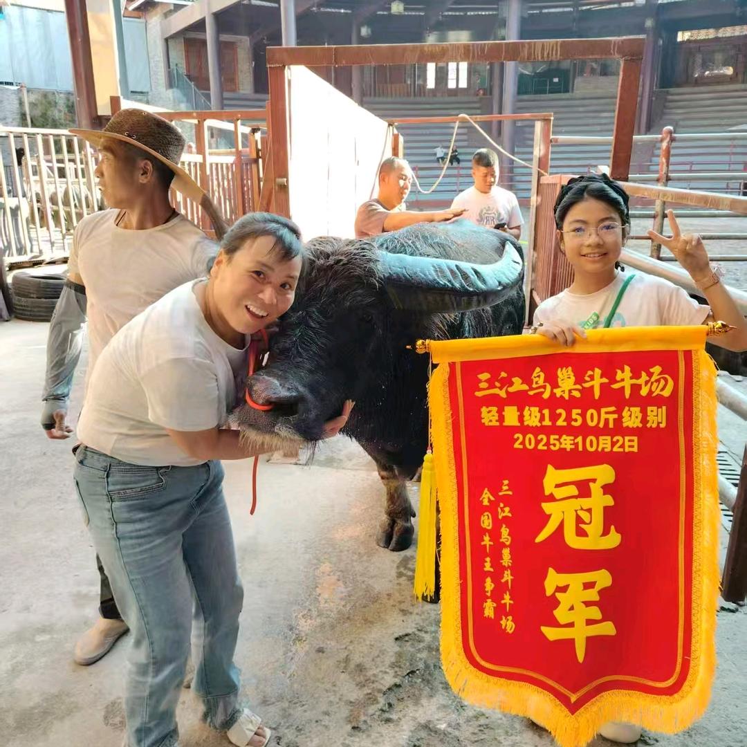 丽娟