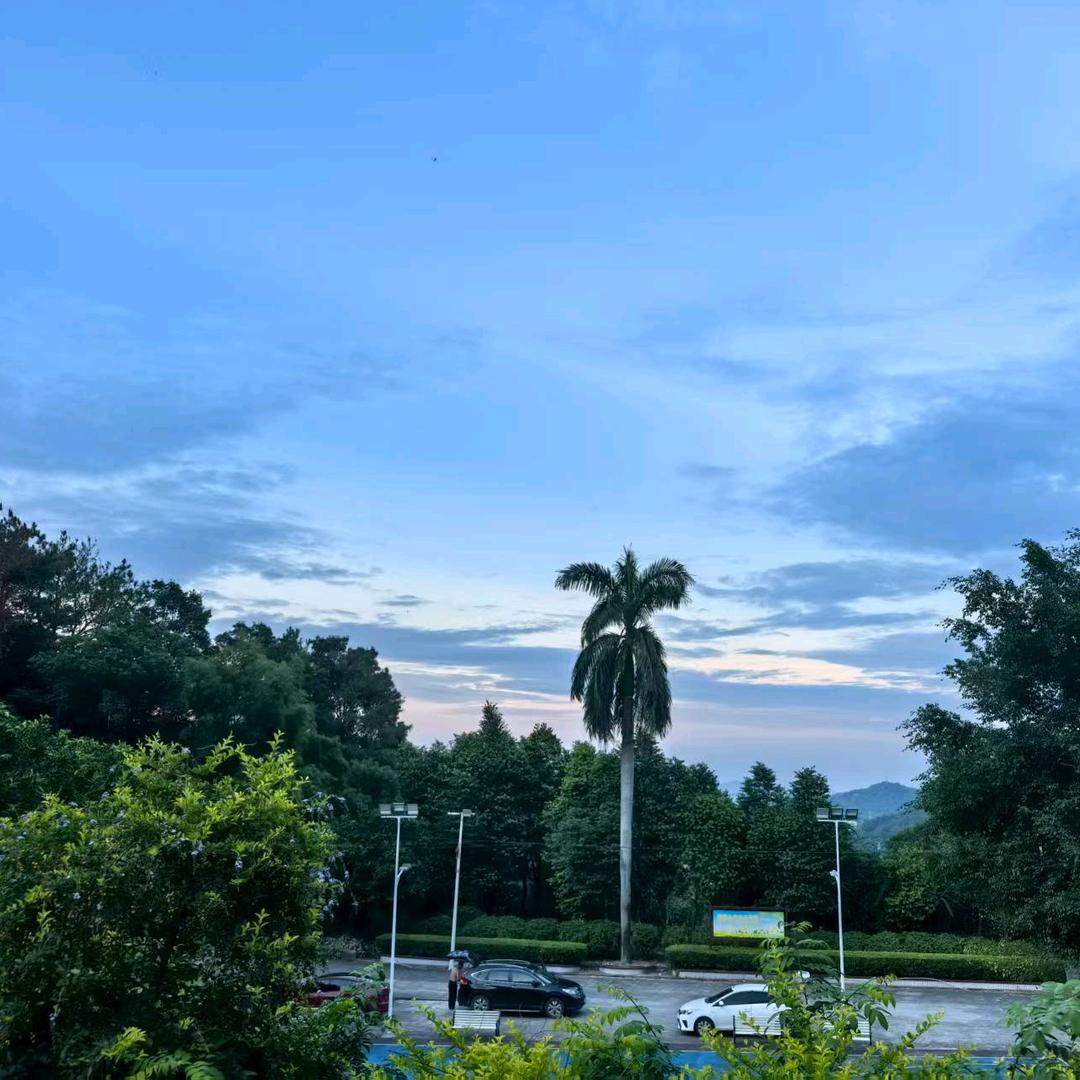 茶•小敏