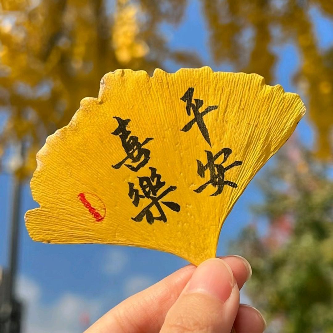 喜乐养生