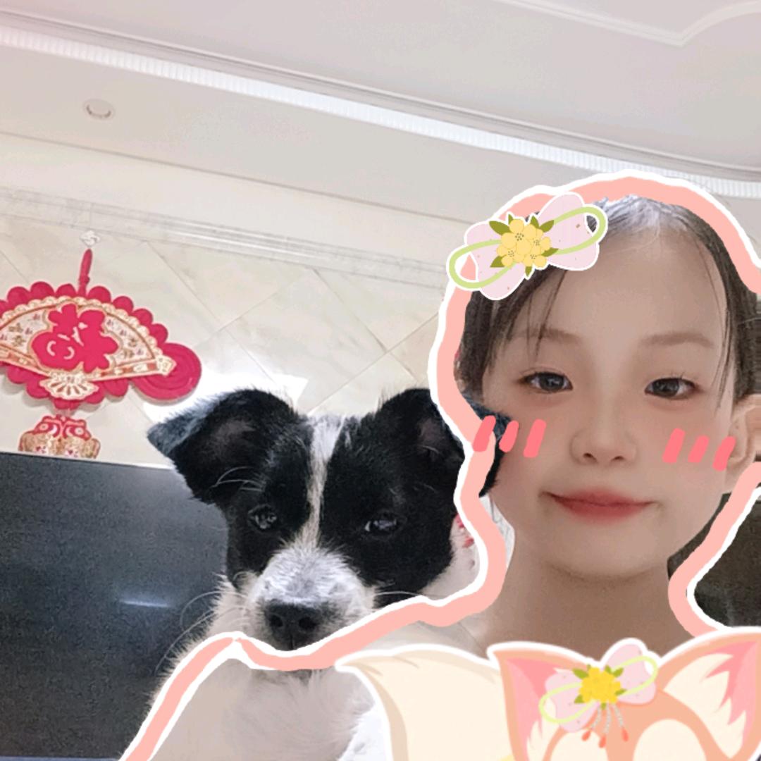 黑美人舞蹈队《米宝》