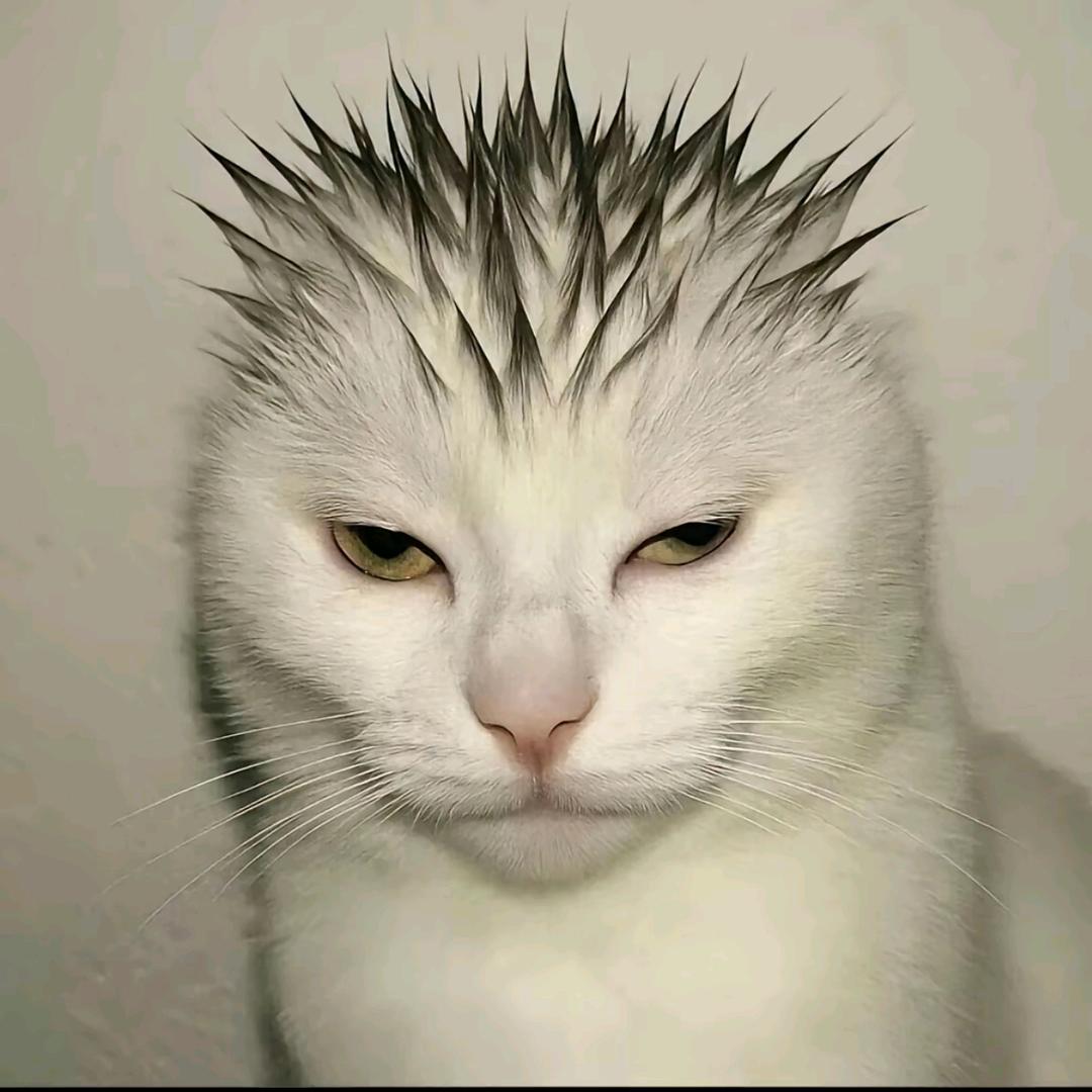 cn白宇