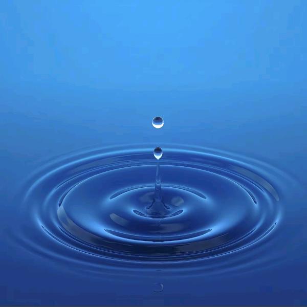 浮沉(ღ♡‿♡ღ)