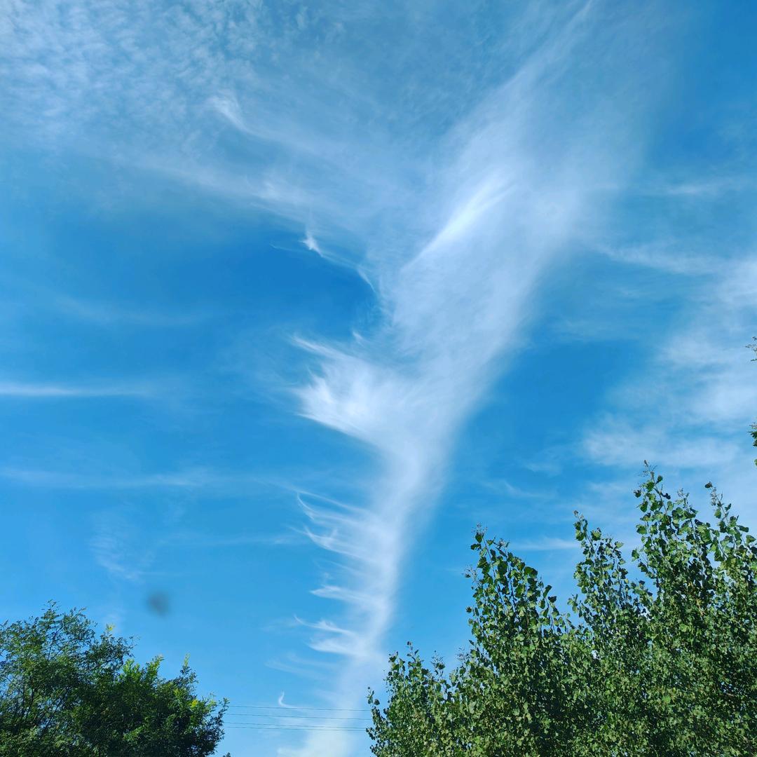 人间正道是沧桑