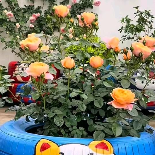 电已充满