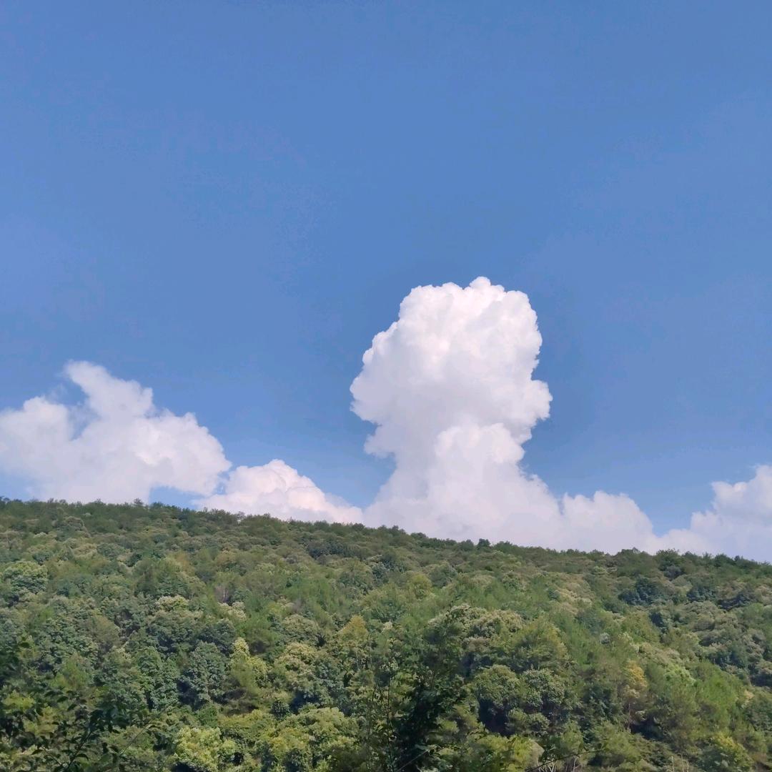 新余自助骨头王