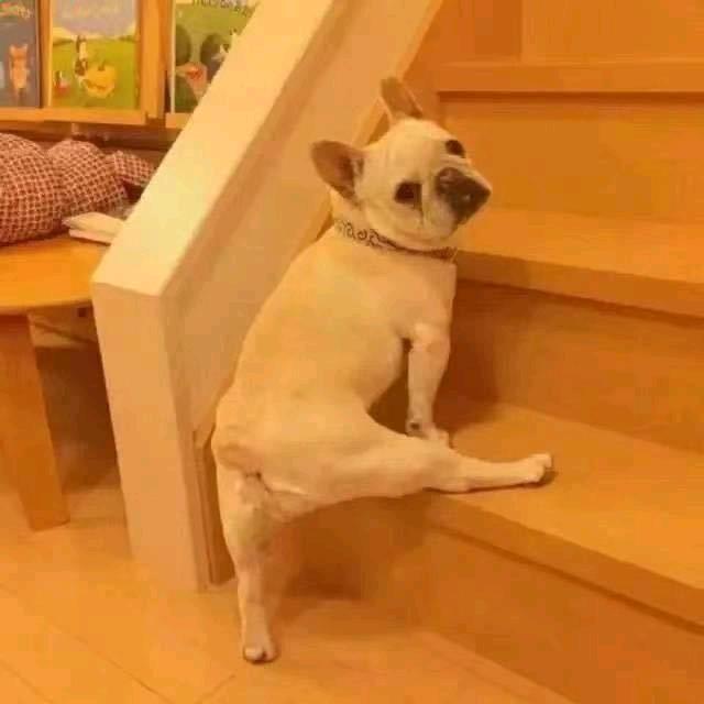 啊力比爆、