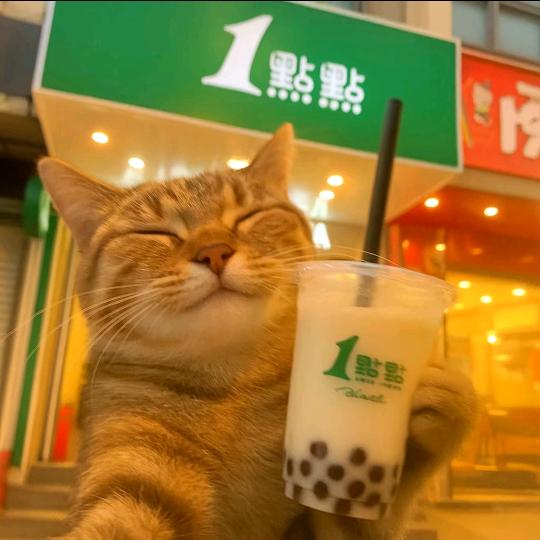 美乐迪