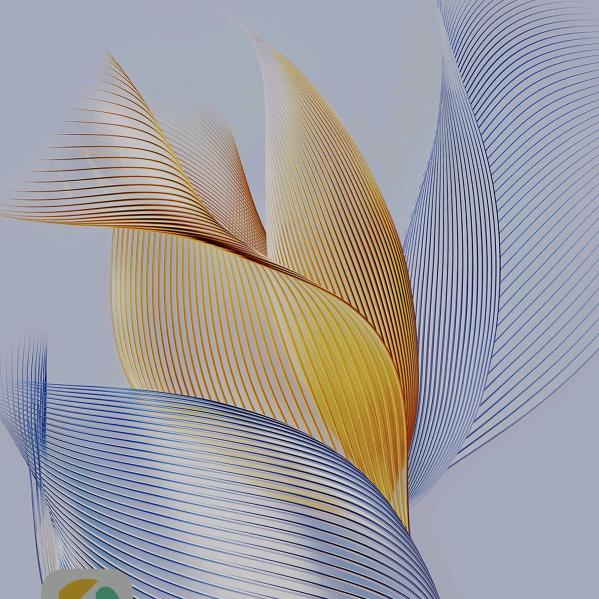 拾光赴美好❤️