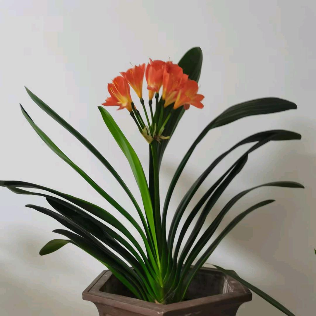 徐州袁老师
