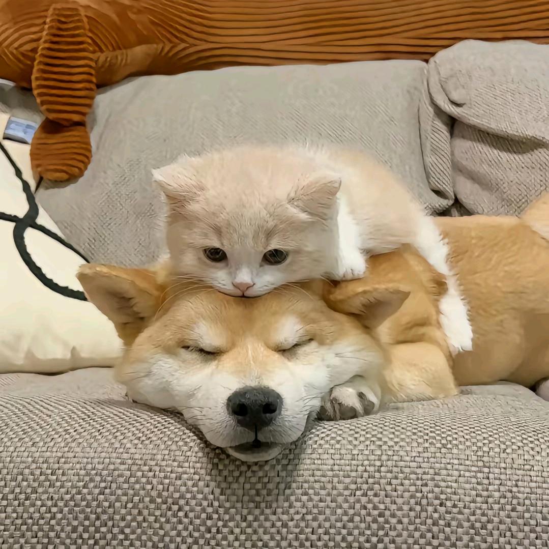 東