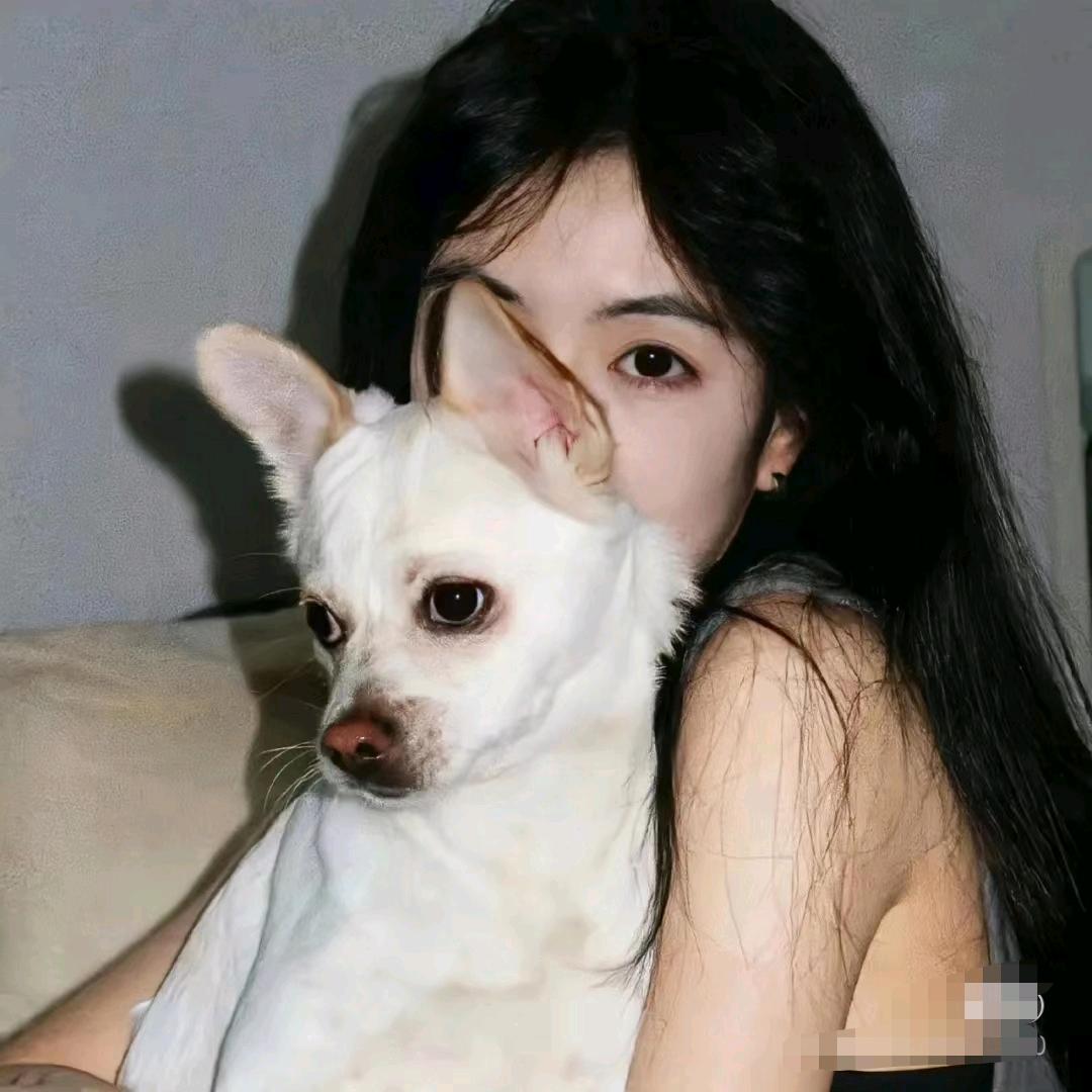 小白菜爱分享