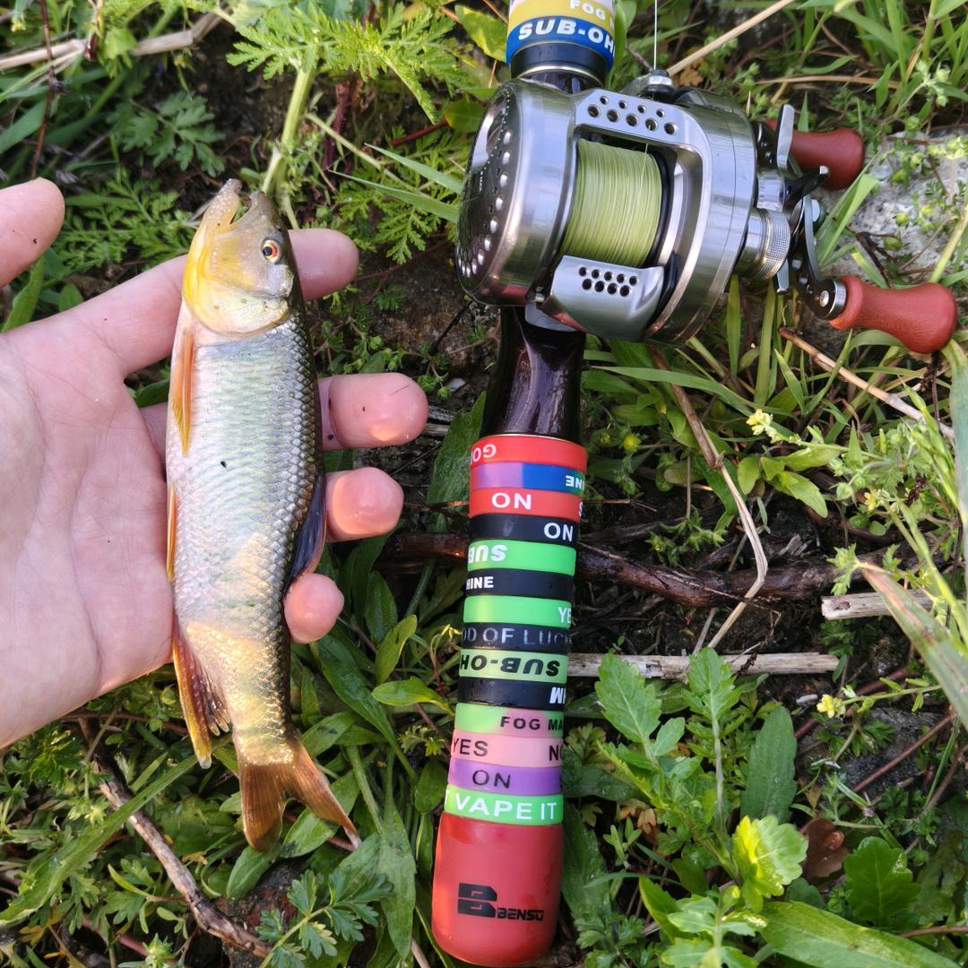 福小白的路亚日记