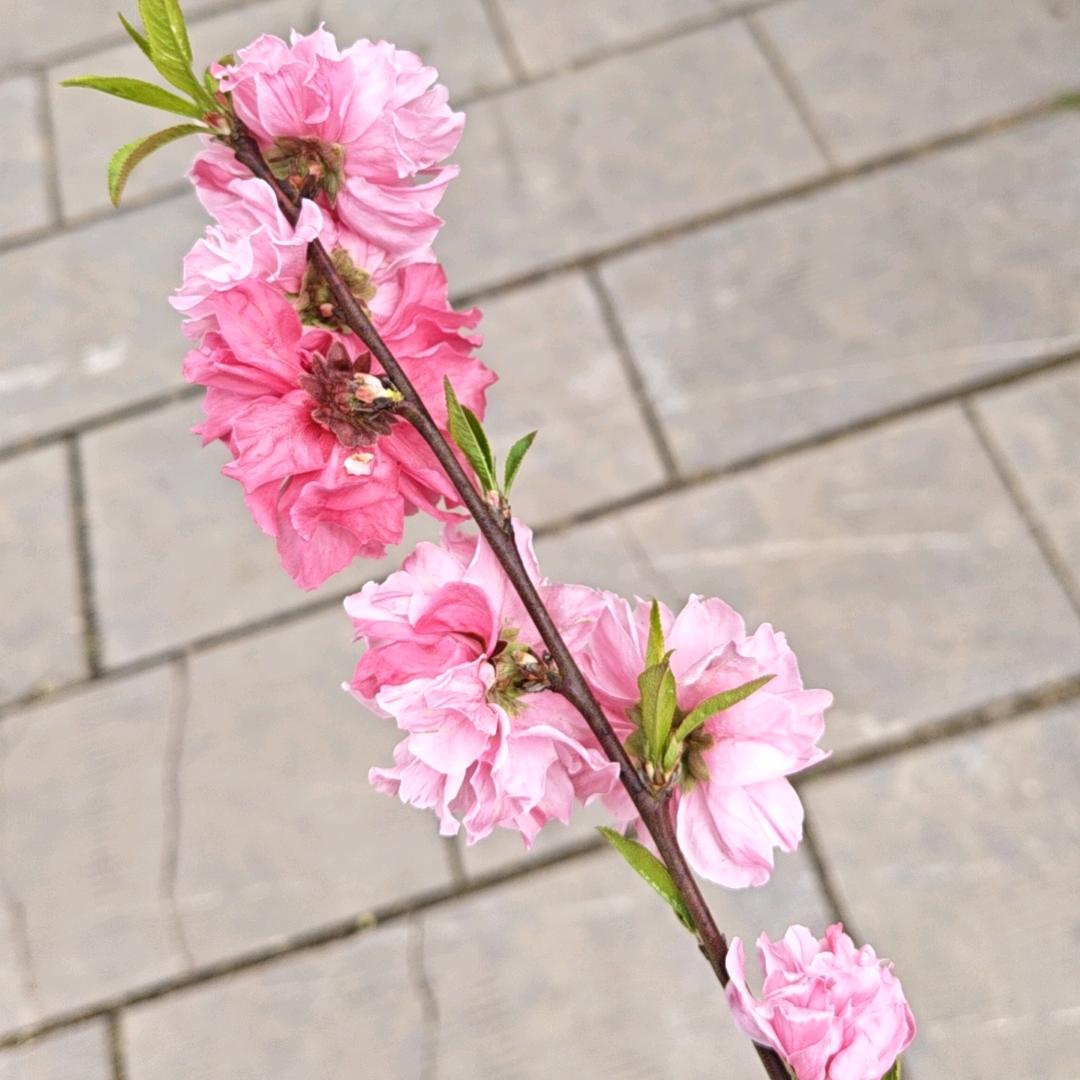 不提过往（拒绝私聊）