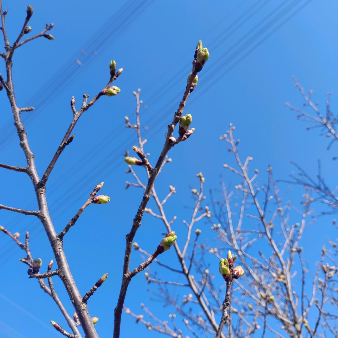 小时候