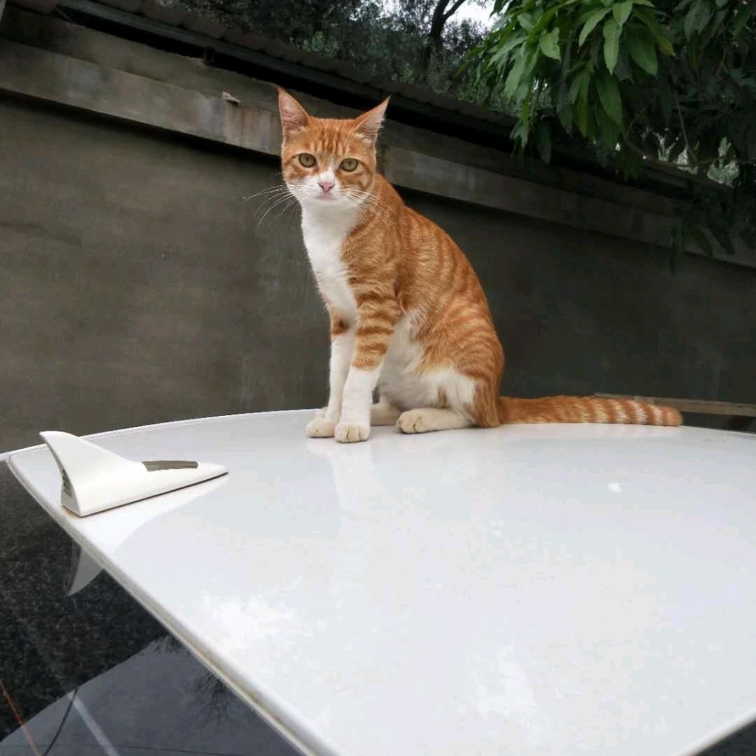 ༺钱来♥运转༻